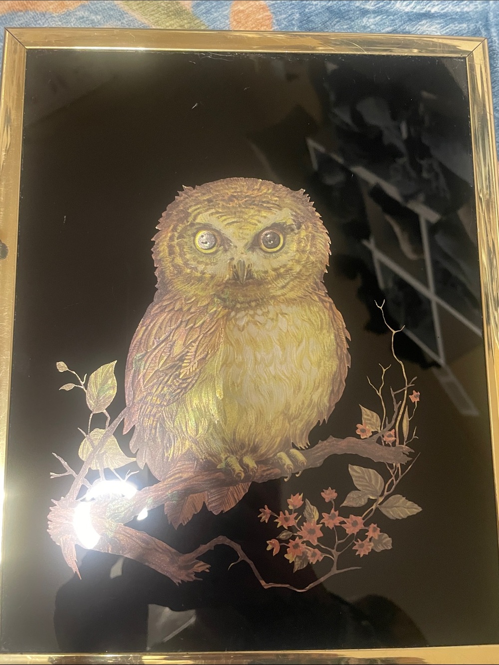 Framed Golden Owl Wall Art - Black Background